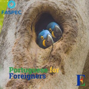 Portuguese for foreigners